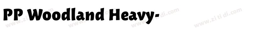 PP Woodland Heavy字体转换